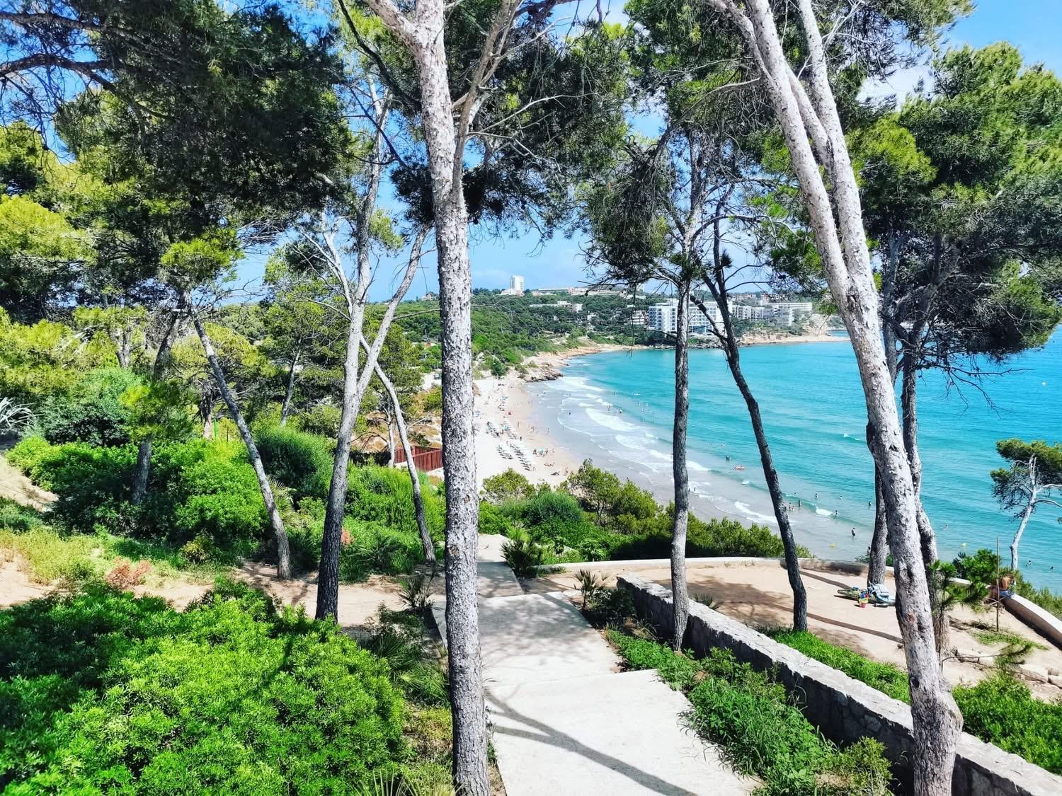 Apartbeach Los Juncos Residencial Piscinas Y Petanca 라피네다 외부 사진